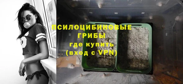 прущая мука Дмитров