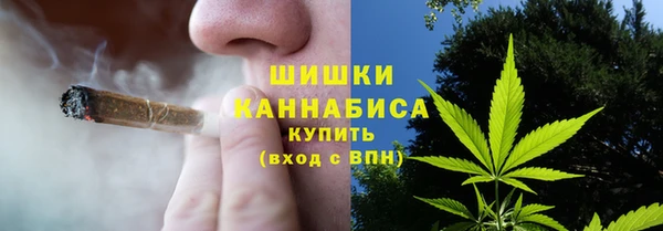 дурь Дмитриев