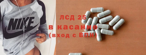 стаф Гусев