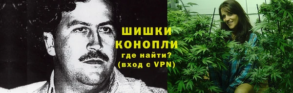 стаф Гусев