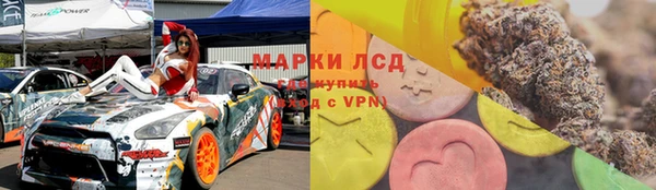 стаф Гусев