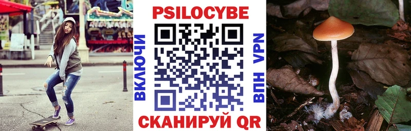 Псилоцибиновые грибы Cubensis закладки Топки