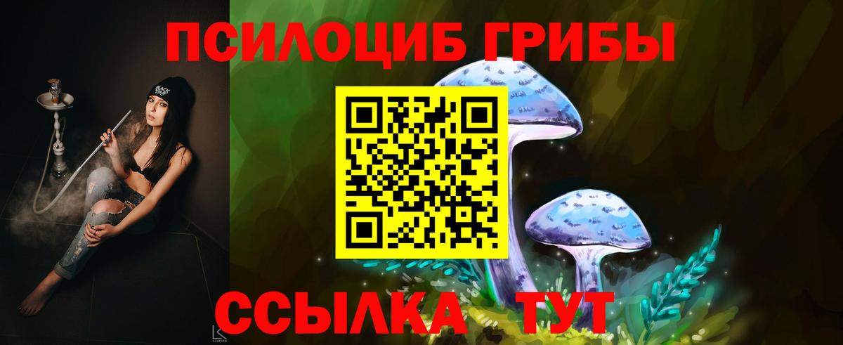 Галлюциногенные грибы Magic Shrooms  купить наркоту  Вход с VPN  Топки  Псилоцибиновые грибы прущие грибы 